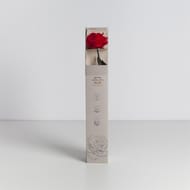 Rose naturelle stabilisée rouge premium
