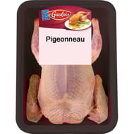 Le Gaulois pigeonneau sans tête éviscéré