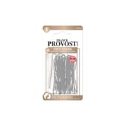 Franck provost pinces chignons marron x40