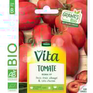 Vita Vilmorin tomate roma vf bio