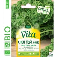 Vita Vilmorin chou frisé kalé bio westlandse winter