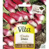 Vita Vilmorin radis bamba