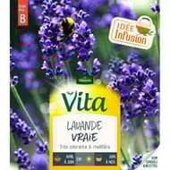 Vita Vilmorin lavande vraie