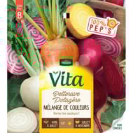 Vita Vilmorin betterave mélange de couleurs