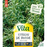 Vita Vilmorin estragon de Russie