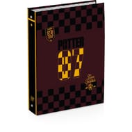 CLASSEUR CARTE A4 D40 HARRY POTTER 2 DECORS ASSORTIS