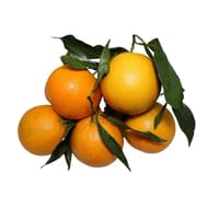 ORANGE FEUILLE LE KILO