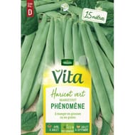 Vita Vilmorin haricot phénomène grimpant vert