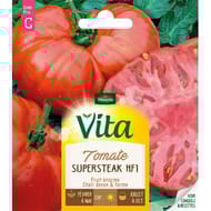 Vita Vilmorin radis bamba