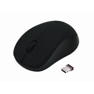 Apm  Souris optique sans fil noire 571126
