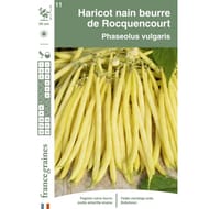 Francegraines haricot rocquencourt  nain mange tout beurre