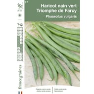 Francegraines Haricot Triomphe de Farcy nain à filet