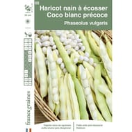 Francegraines Haricot Coco blanc précoce nain à écosser