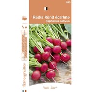 Francegraines Radis rond écarlate