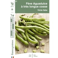 Francegraines fève d'aguadulce à très longue cosse