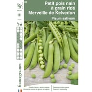 Francegraines pois merveille de Kelvedon nain ridé