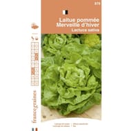 Francegraines Laitue pommée Merveille d'hiver