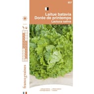 Francegraines Laitue batavia Dorée de Printemps