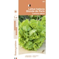 Francegraines Laitue batavia Blonde de Paris