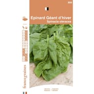 Francegraines epinard géant d'hiver