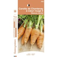 Francegraines Carotte de Chantenay