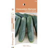 Francegraines concombre marketer