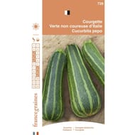 Francegraines courgette non coureuse