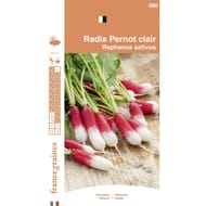 Francegraines Radis Pernot clair