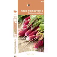 Francegraines Radis Flamboyant 5