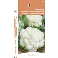 Francegraines Chou fleur Merveille des 4 saisons