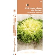 Francegraines chicorée frisée de ruffec