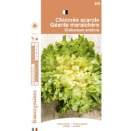 Francegraines chicorée scarole maraichère