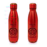 Bouteille 540 ml metal mario
