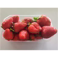 Barquette de fraise 500g charlotte