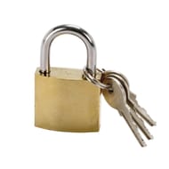 Cadenas acier 30 mm