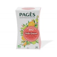 Pages infusion bio brûle graisse mate thé vert citon vert orange x20s 30g