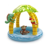 Pataugette tropicale