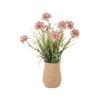 Pot de terre cuite fleuri