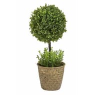 Pot de terre cuite fleuri