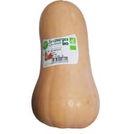 BUTTERNUT BIO
