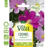Vita Vilmorin cosmos en mélange bio vtv b