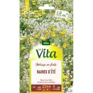 Vita Vilmorin melange fleur ete naine 8m2