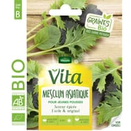 Vita Vilmorin mélange asiatiques de jeunes pousses bio
