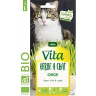 Vita Vilmorin herbe à chat bio