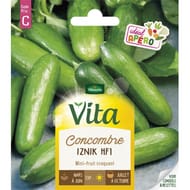 Vita Vilmorin concombre iznik hf1 vtv c