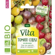 Vita Vilmorin tomate cerise en melange bio