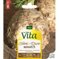 Vita Vilmorin celeri rave monarch