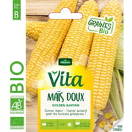 Vita Vilmorin mais golden bantam bio