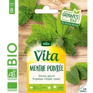 Vita Vilmorin menthe poivrée bio