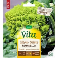 Vita Vilmorin chou brocoli romanesco